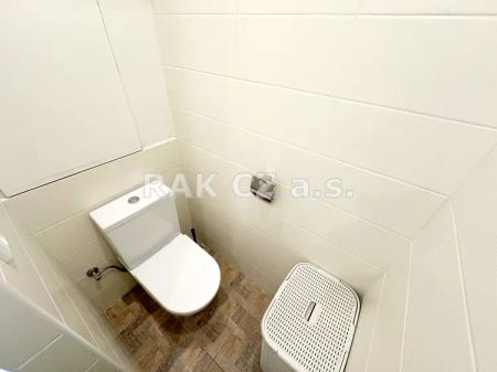 Rekonstruovaný byt 1+1, 33,3 m - Fotografie 5