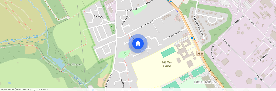 Sycamore Drive, SO45