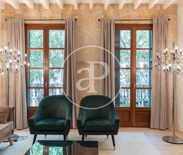 Apartment for rent in El Borne – Palma - Photo 4
