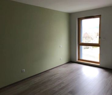 Location appartement 2 pièces - 62m² à Pontarlier (25300) - Photo 3