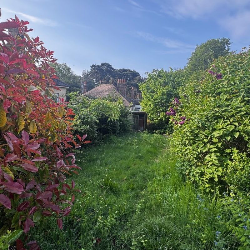 Carlton Road - Photo 1