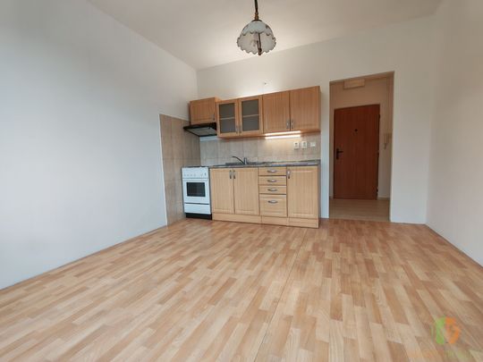 Pronájem bytu 1+1 36 m² - Photo 1