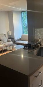 Furnished 1 Bed Condo Downtown Vancouver ** DECEMBER ONLY ** - Photo 3