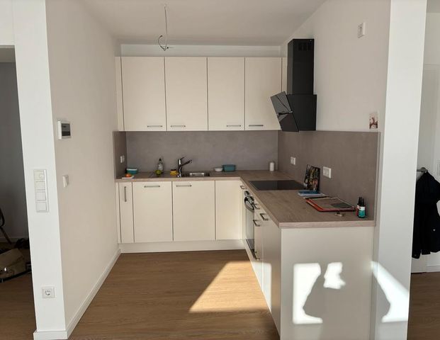 52qm 2 Zimmer EG Wohnung Warburg Stadt Neubau - Foto 1