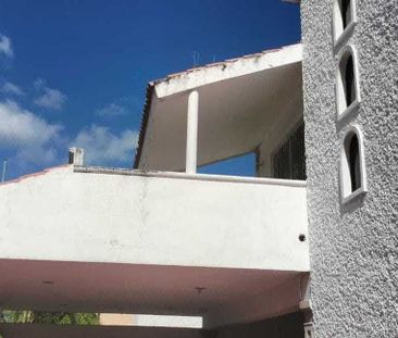 INCREIBLE PROPIEDAD SOBRE AVENIDA DE ALTO FLUJO AL NORTE DE MERIDA. - Photo 2