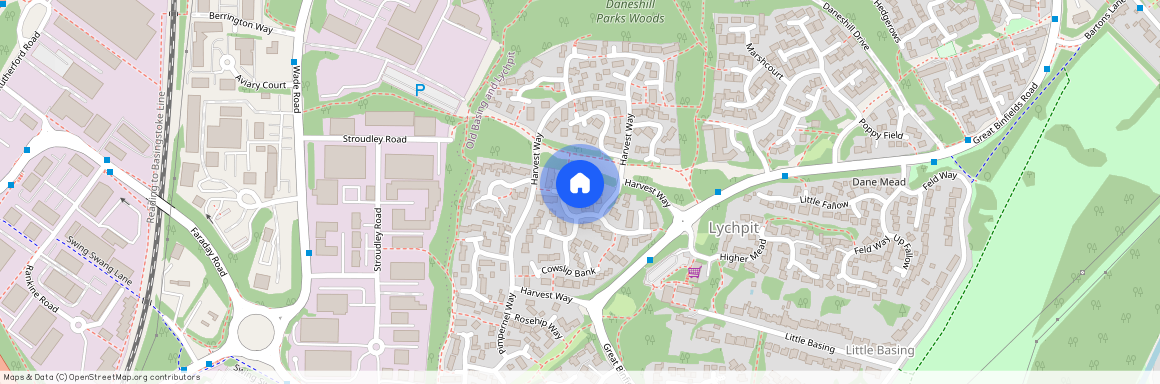 Cowslip Bank, Lychpit, Basingstoke, RG24