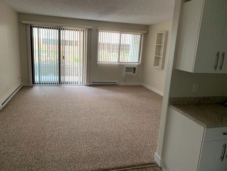 CARMAN 2 BED 1 MONTH FREE - Photo 5