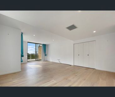411/146 Bowden Street, Meadowbank, NSW 2114 - Photo 2