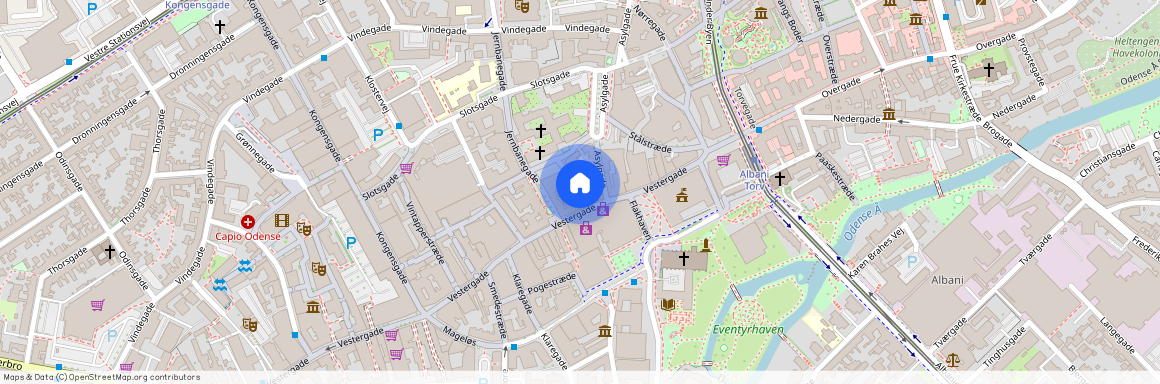 Lille Gråbrødrestræde 2C, 2. th., 5000 Odense C