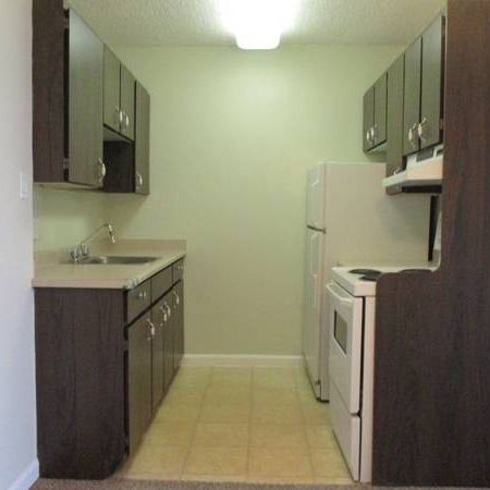 BRIGHT STUDIO UNIT -CHARMING UNIT *MINUTES FROM METROTOWN - Photo 4