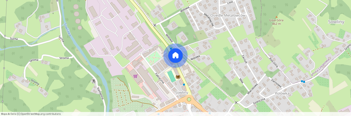 ul. Wincentego Witosa, Limanowa, limanowski, małopolskie