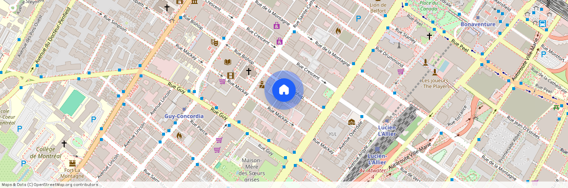 1222A Rue Bishop, H3G 2E3, H3G 2E3, Montréal