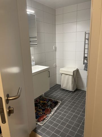 Skillingmyntsgatan, Göteborg - Photo 5