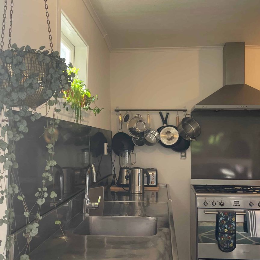 Cutie on Koha - Photo 1