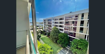 Zetland 2 Beedroom Apartment with Gym and Swimming Pool - Photo 4