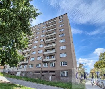 Praha 6 – Břevnov, ul. Pod Marjánkou, zrenovovaný slunný byt 3 + k.... - Photo 4