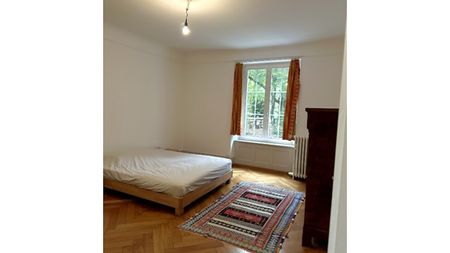 2½ Zimmer-Wohnung in Solothurn, möbliert - Foto 2