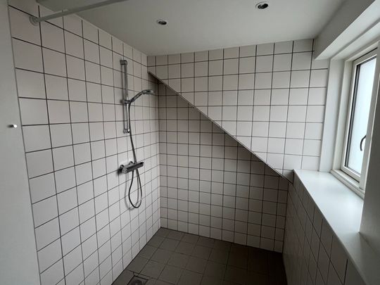 Stor lejlighed centralt i Aarhus - Foto 1