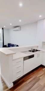 310 Wattle St, Sydney - Photo 4