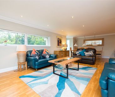 3 bedroom apartment to rent - Photo 3