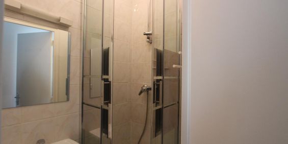 Location Appartement 1 pièce 16m² NANTES 44000 - Photo 3