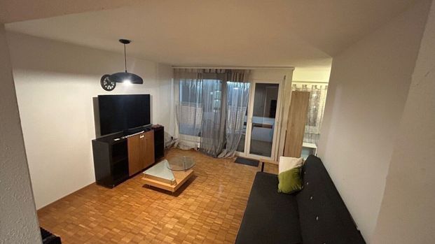 Modern and bright 2.5-room apartment fully furnished, prime location, Adliswil - Photo 1