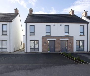 200 The Hollows, Lurgan, BT66 7FU - Photo 5