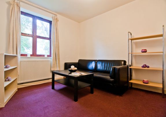 1 Bedroom Apartment - Photo 1