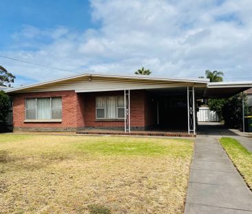 Superb 4 Bedroom Home in Much Sought after Flinders Park - Photo 6