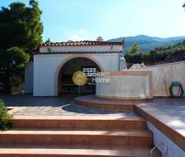 Μονοκατοικία 460 τ.μ. προς ενοικίαση - Photo 6