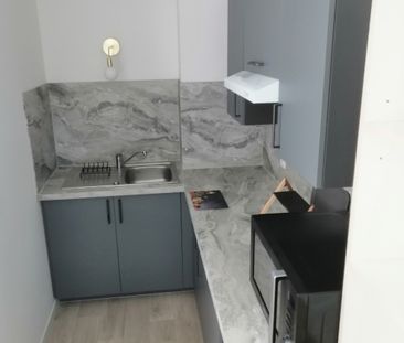 Location Appartement 1 pièce 20m² GEVEZE 35850 - Photo 2