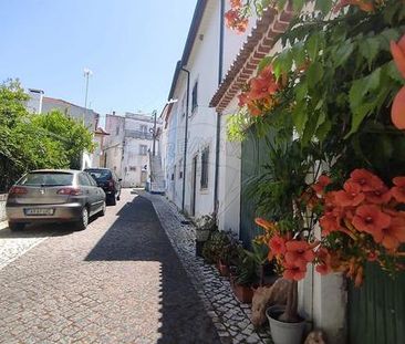 Apartamento T1 - Photo 2