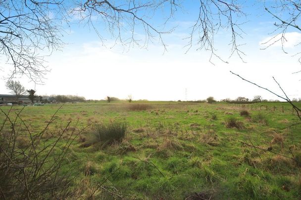 3 bedroom house to rent - Photo 1