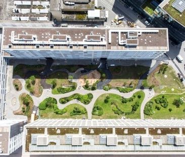 Logement au plus haut niveau - Photo 3