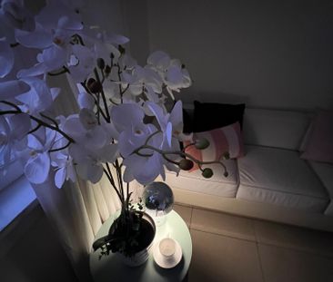 Sans Souci - Photo 2