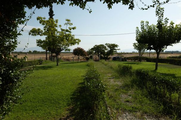 Μονοκατοικία για ενοικίαση Κέντρο (Νίκαια) - Photo 1