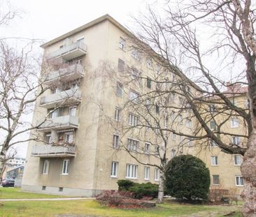 3-Zimmer-Wohnung in St. Pölten - Foto 3