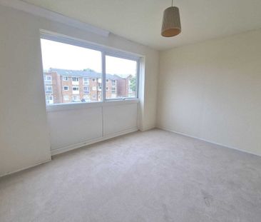 Burns Drive - Photo 4