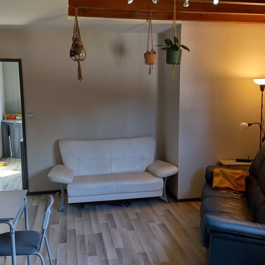 Location Appartement 2 pièces 47m² VILLENEUVE TOLOSANE 31270 - Photo 1