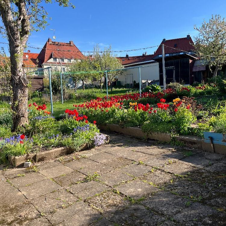 Frisch sanierte helle 2 Raum Wohnung in ruhiger Lage mit wunderschönem Garten - Photo 1