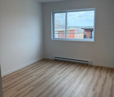 542 Rue Saint-Michel, Sherbrooke, (Vacant) QC J1E 2L1 - Photo 2