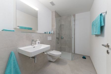 Your modern home in the vibrant city of Liestal - Foto 5