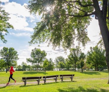 Appartement à louer - Montréal (Mercier/Hochelaga-Maisonneuve) (Mer... - Photo 4
