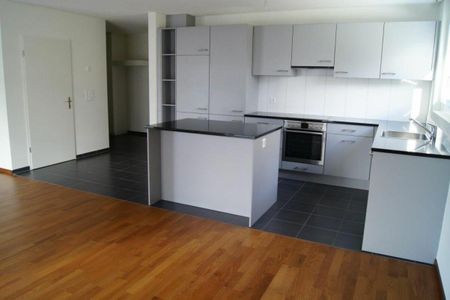 Attraktive 4.5 Zimmer-Wohnung im Erdgeschoss - Photo 3