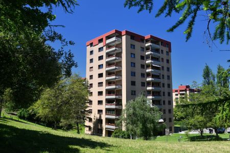 Schöne Single-Wohnung mit grossem Balkon - Foto 3