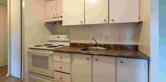 1 CH - 1 SDB - Gatineau - $1,495 /mo - Photo 2