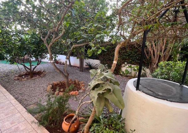 Apartamento de alquiler en Carrer de la Guàtlera, Jesús