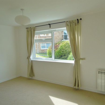 Hawthorn Close, Chichester - Photo 4