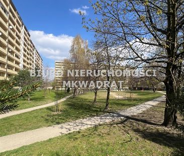 Rybnik, Maroko - Photo 5