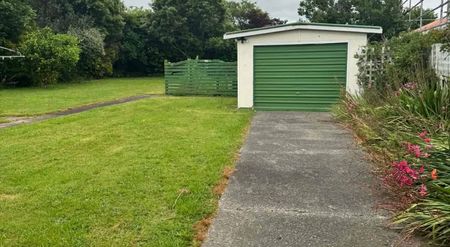 76 Worcester Street, Ashhurst - Photo 4